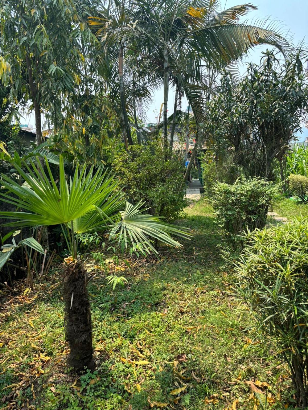 Cherry Garden Pokhara Exterior foto